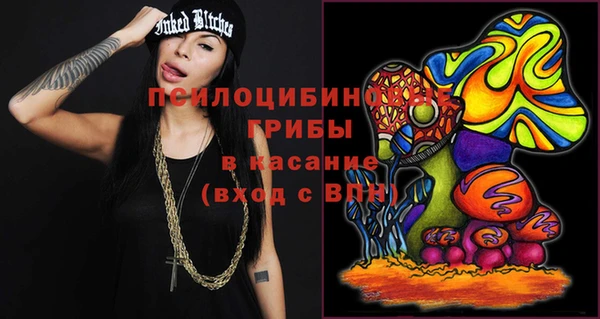 ПСИЛОЦИБИНОВЫЕ ГРИБЫ Алексин